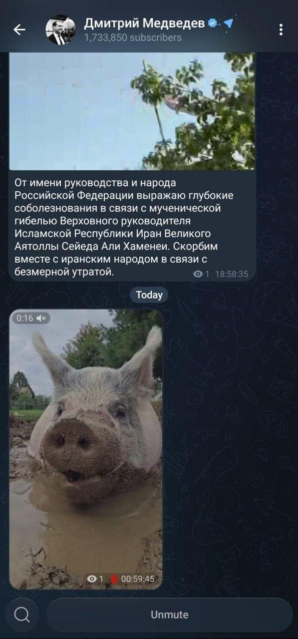 Medvedevas savo „Telegram“ paskelbė vaizdo įrašą su kiaule, o po to beveik iš ka...