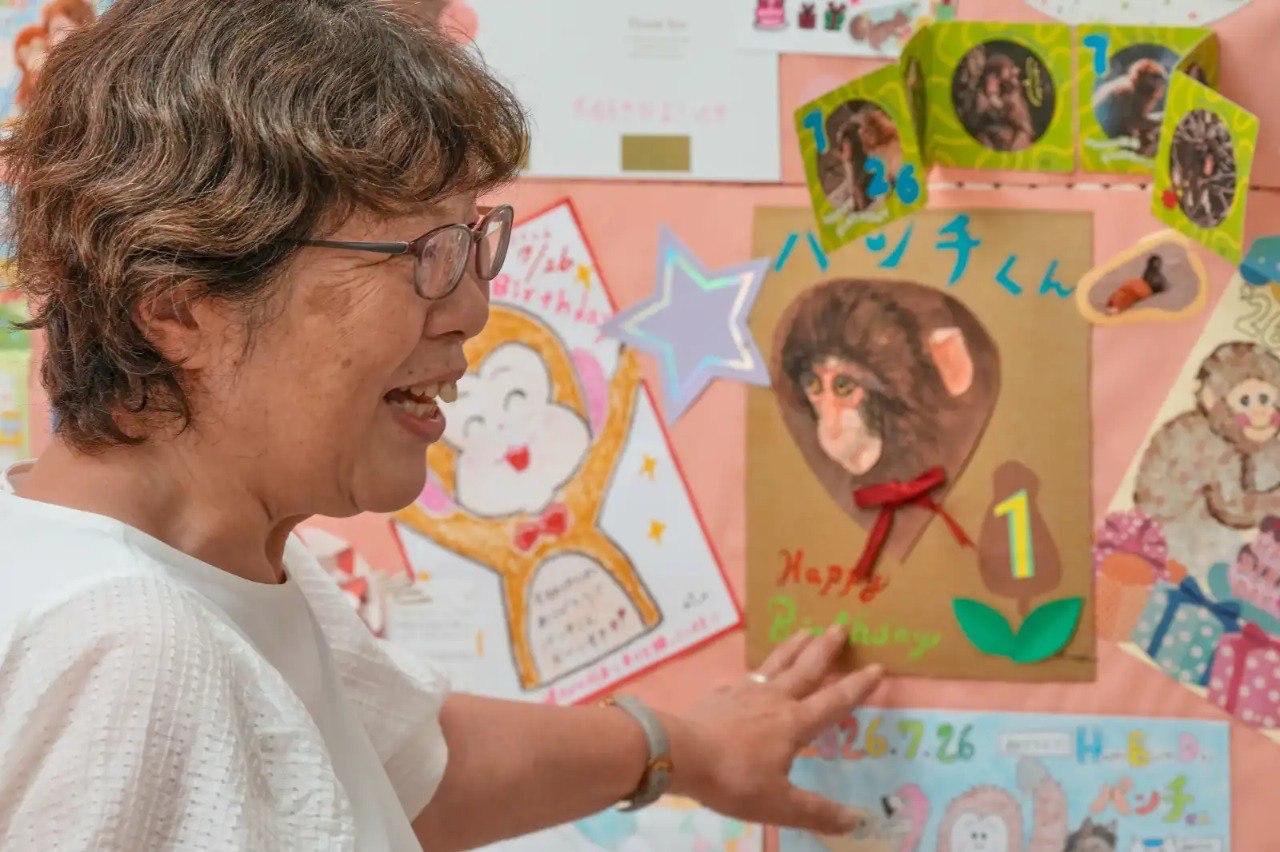🐵 Interneto numylėtinis – beždžionėlė Pančas – švenčia gimtadienį

Japonijos ma...